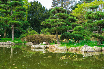 Fototapeta na wymiar Japanese garden in Nordpark, Dusseldorf, Germany