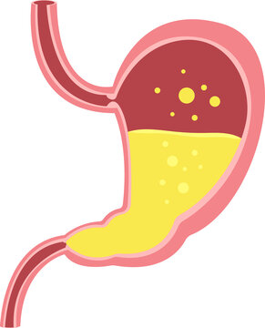 recommend clip art: Stomach clipart design illustration