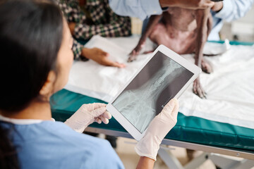 High angle view selective focus shot of unrecognizable female vet holding digital tablet with x-ray...
