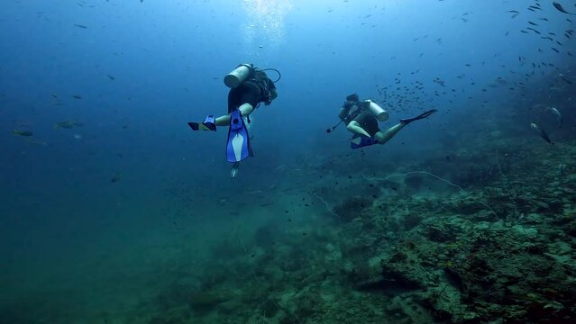 Under water film - Large school of small Fusilier fish with two scuba divers swimming away from camera - Sail Rock Island in Thailand