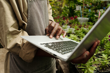 Close-up of African man in uniform using laptop to take online orders during his work in flower shop