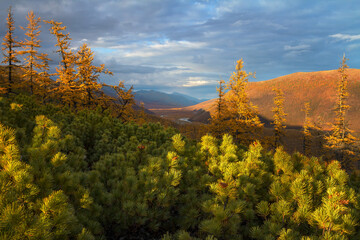 Beautiful autumn mountain landscape. Nature of the Arctic. View of the mountain valley. In the...