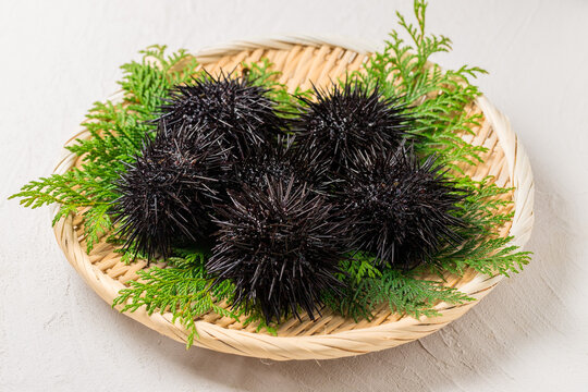 ainoshowe2ya ムラサキウニ５枚 ムラサキウニ（A並び）（大箱） 【業務用食材の仕入れなら八面六臂】