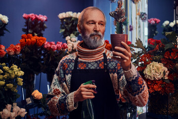 Portrait of old man dressed in apron florist with pot and spray inside colourful flower shop.