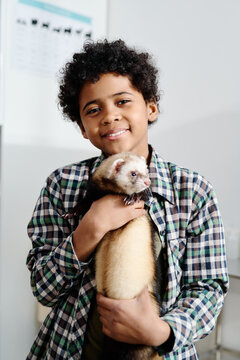 Vertical medium portrait of cheerful African American kid holding his lovely ferret smiling at camera