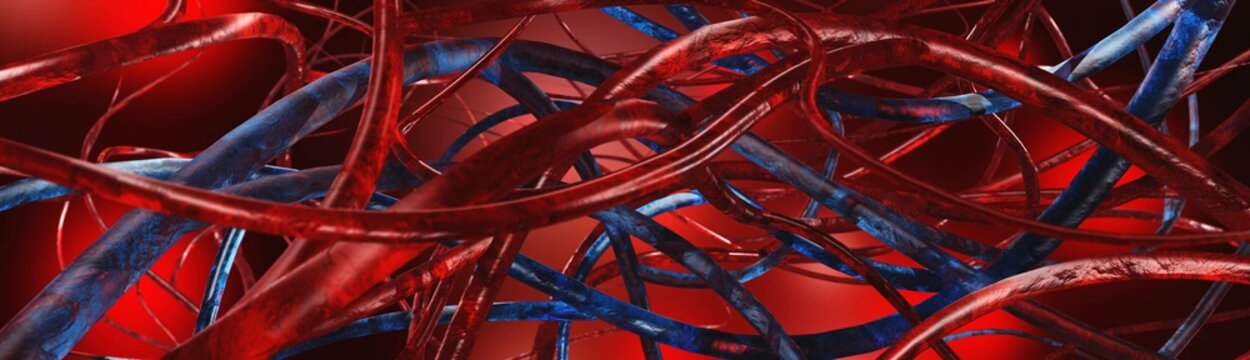 Anatomical abstract background, veins and arteries, human circulatory system, 3d rendering