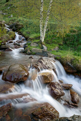 Fototapeta na wymiar Barranco de los Orieles.Valle de Gistain.Pirineo Aragones. Huesca. España.