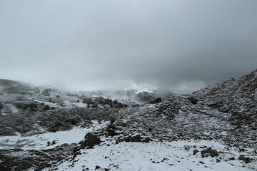 Paisaje nevado
