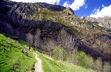 Valle de Fresser. Girona.Cordillera pirenaica.Catalunya.España.