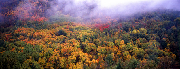 Puerto de Lazar.Cordillera Pirenaica. Navarra. España.