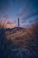 white Lighthouse in the dunes of the danish north sea coast. High quality photo - obrazy, fototapety, plakaty