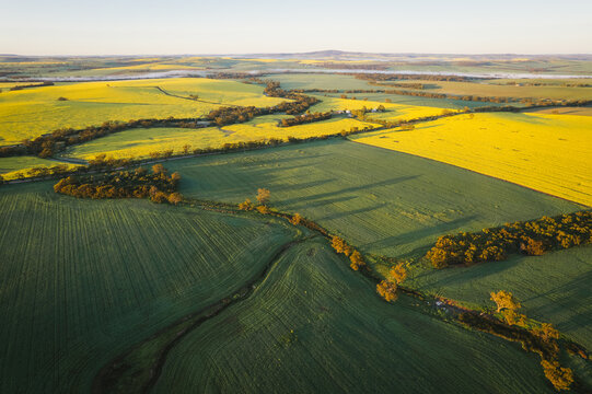 Aerial photo of broadacre cropping landscape in the Avon Valley of Western Australia