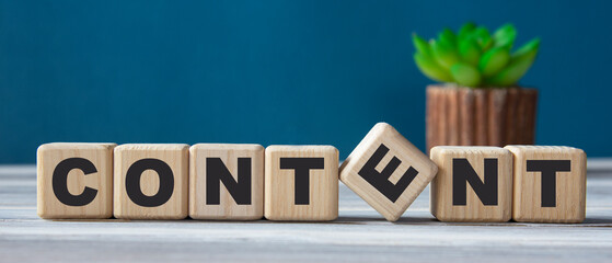 CONTENT - word on wooden cubes on the background of a cactus