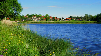 Blick vom grünen Ufer des Bad Soier Sees auf Luftkurort Bad Bayersoien unter blauem Himmel