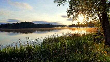 Fototapeta na wymiar malerischer Sonnenaufgang am spiegelnden Bad Soier See mit Schilf und Baum im warmen Gegenlicht