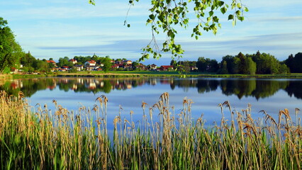 Blick über Schilf vom  Ufer des Bad Soier Sees auf Luftkurort Bad Bayersoien unter blauem Himmel