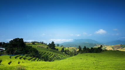 Beautiful step of rice terrace paddle field, Panorama View at Chiangmai, Thailand