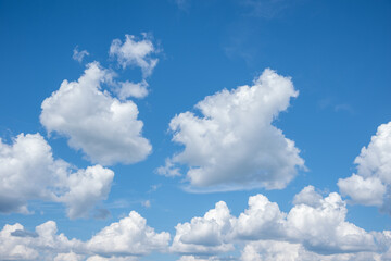 Obraz na płótnie Canvas Blue sky background with white fluffy cumulus clouds. Panorama of white fluffy clouds in the blue sky. Beautiful vast blue sky with amazing scattered cumulus clouds.