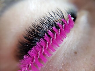Fake lashes for lash extensions in beauty salon . High quality photo