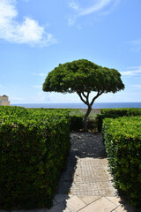 The avenue of a street in Santa Cesarea Terme, an Apulian village in the province of Lecce in Italy.