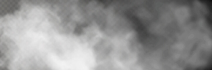 Fog or smoke isolated transparent special effect. White vector cloudiness, mist or smog background. Vector illustration