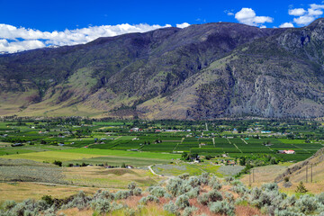 Fruit Orchard Cawston Similkameen Valley British Columbia Landscape