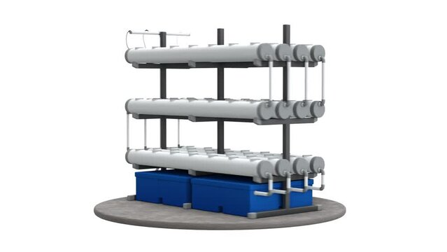 Nutrient film technique (NTF). Vertical hydroponics farm. 3d animation of plant growth