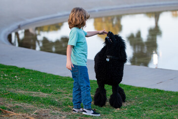 Child boy with poodle dog walking outdoor. Kid playing with puppy. Children with pet friend.