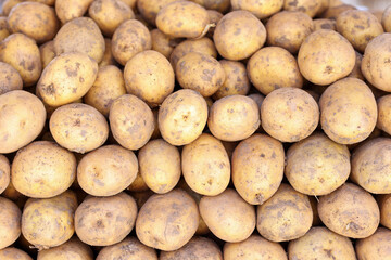 Unpeeled raw potatoes at vegetable market closeup