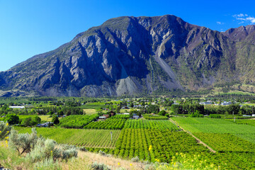 Fruit Orchard Keremeos Similkameen Valley British Columbia Landscape