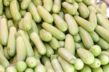 Macro photo of vegetable zucchini closeup. Vegetable food green zucchini
