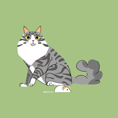 Norwegian forest cat isolated on green background. Pet animal character vector illustration