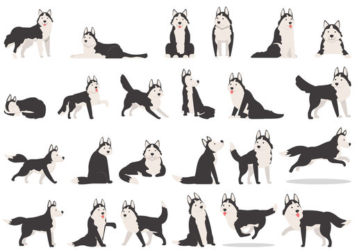 Husky icons set cartoon vector. Dog ears. Alaskan animal