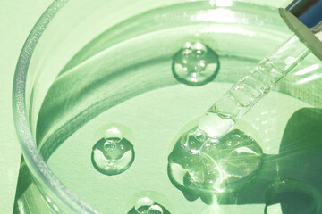 Pipette with transparent cosmetic liquid at glass petri dish over green background with copy space....