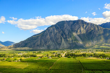 Fruit Orchard Keremeos Similkameen Valley British Columbia Landscape