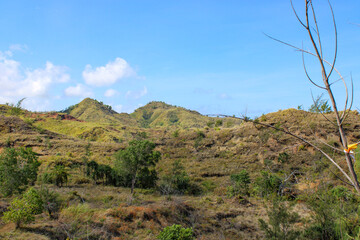 Island Mountain