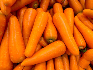 The carrot root vegetables fresh natural