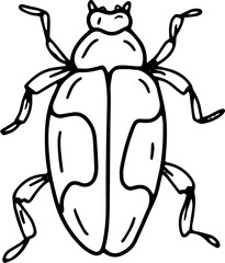 Beetles insects large set separately on a white background coloring book for children sketch doodle hand drawn
