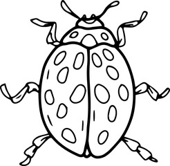 Beetles insects large set separately on a white background coloring book for children sketch doodle hand drawn