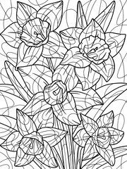 Narcissus flower, plant full page. Home plant with large leaves. Zen-tangle style. Hand draw