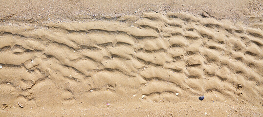 Sand texture. Sand bottom by the sea. Sea sand bottom in the shape of waves.