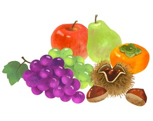 秋の味覚　果物　ぶどう、マスカット、りんご、柿、栗、洋梨