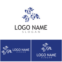 water splash icon vector illustration design template