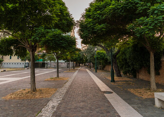 Obraz premium street path with trees in Italy 