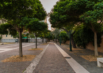 street path with trees in Italy 