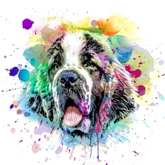 Deurstickers colorful artistic dog muzzle with bright paint splatters on dark background. © reznik_val