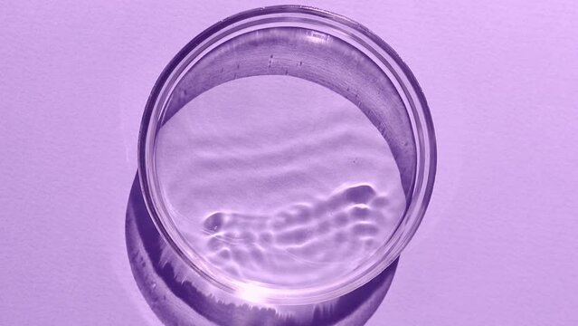 falling drops of serum water into a petri dish circles of streaks