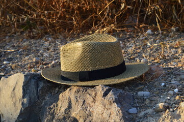 Sombrero de paja entre los matorrales.