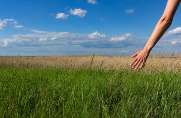 Woman's hand touching the grass and blue sky on background, feeling nature concept