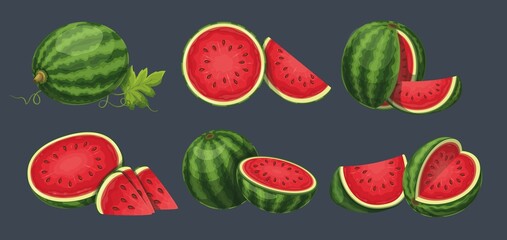 Watermelon set vector illustration. Cartoon isolated whole ripe vitamin big berry and cut in half, exotic raw watermelon fruity snack for kids, fresh slices with peel to eat sweet fruit dessert